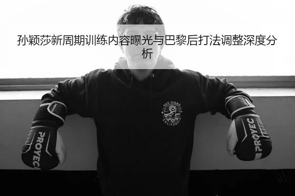 孙颖莎新周期训练内容曝光与巴黎后打法调整深度分析